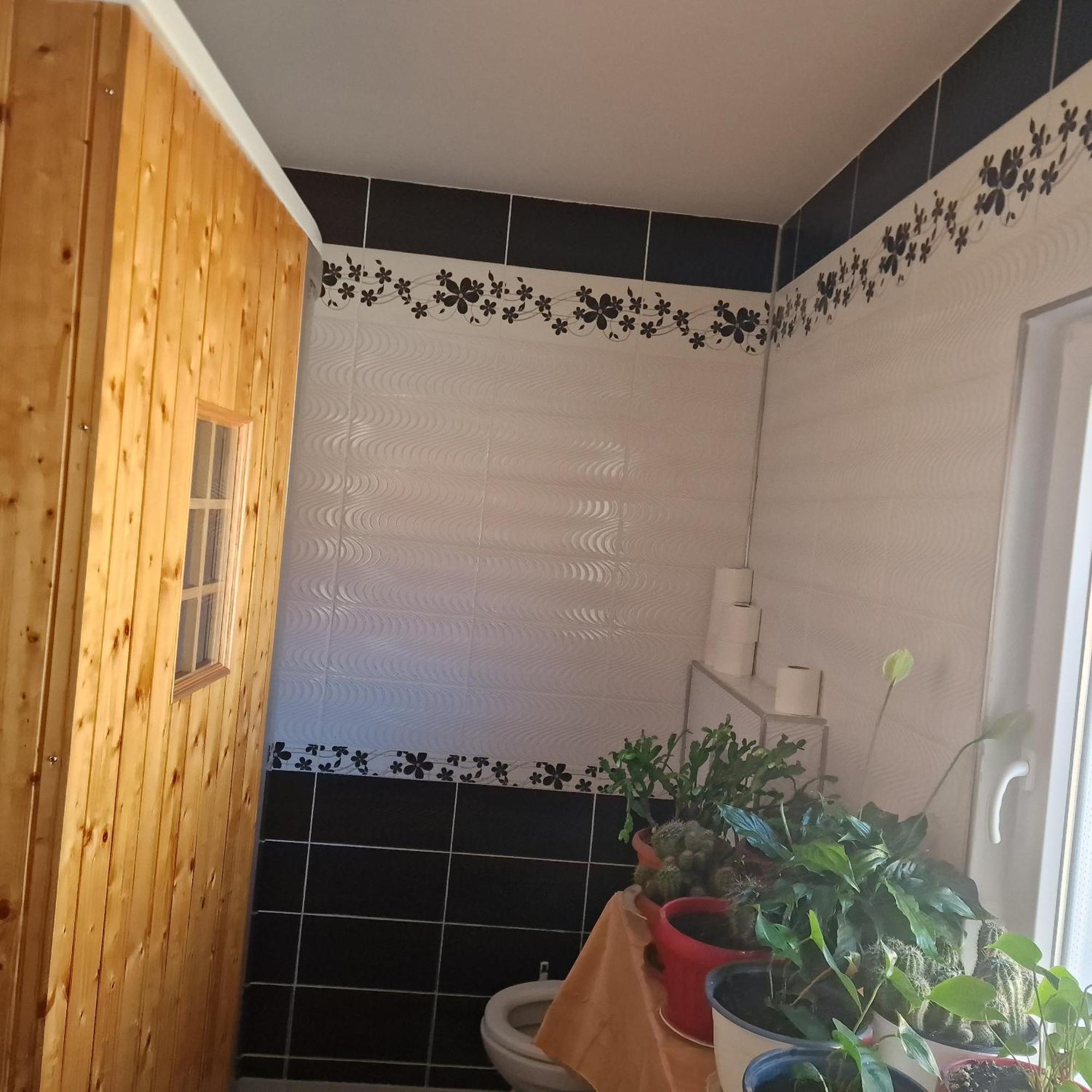 מלון Petroşani Casa Cojanu מראה חיצוני תמונה