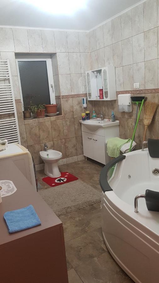 מלון Petroşani Casa Cojanu מראה חיצוני תמונה