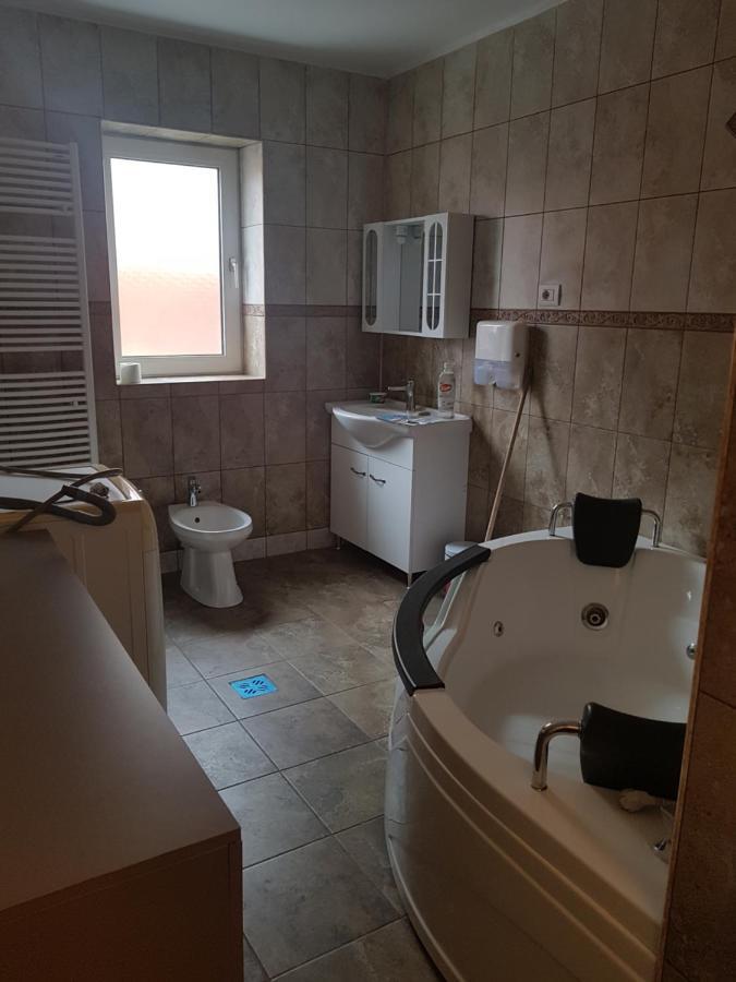 מלון Petroşani Casa Cojanu מראה חיצוני תמונה