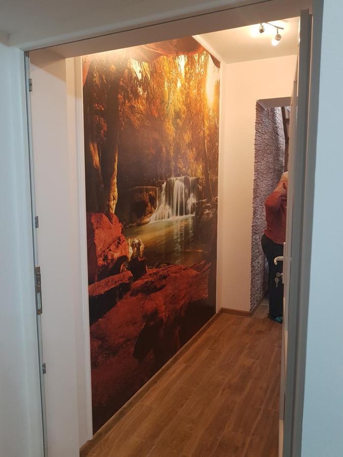 מלון Petroşani Casa Cojanu מראה חיצוני תמונה