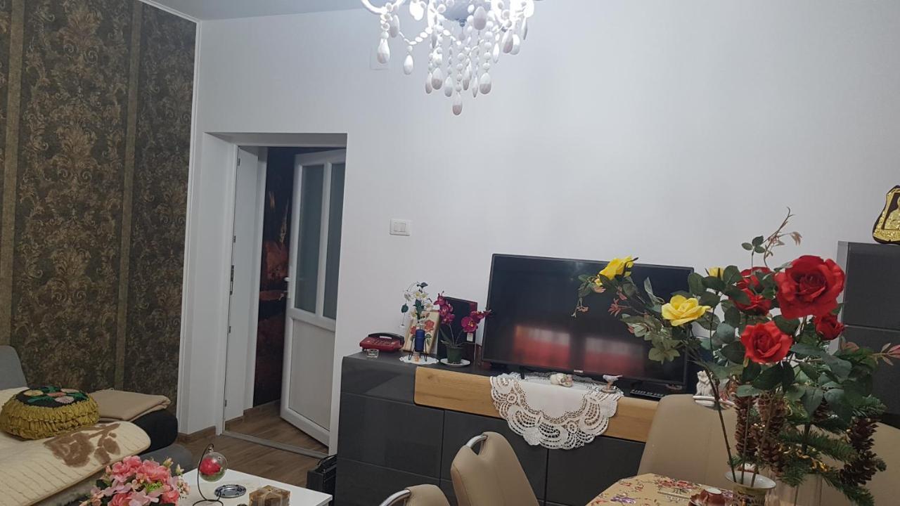 מלון Petroşani Casa Cojanu מראה חיצוני תמונה
