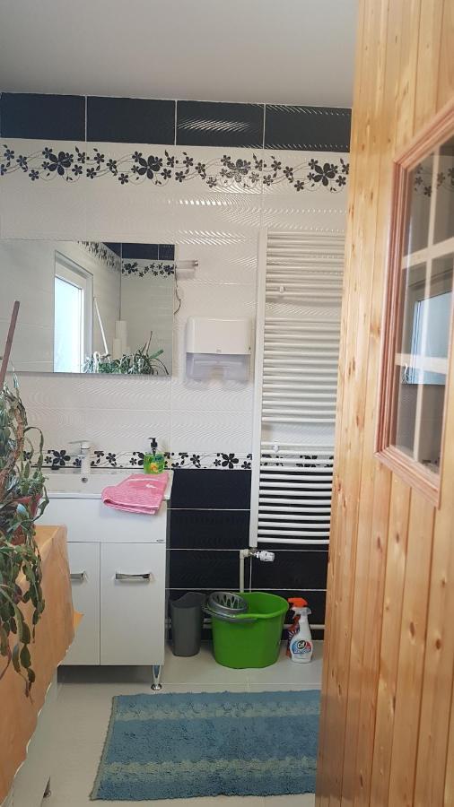 מלון Petroşani Casa Cojanu מראה חיצוני תמונה