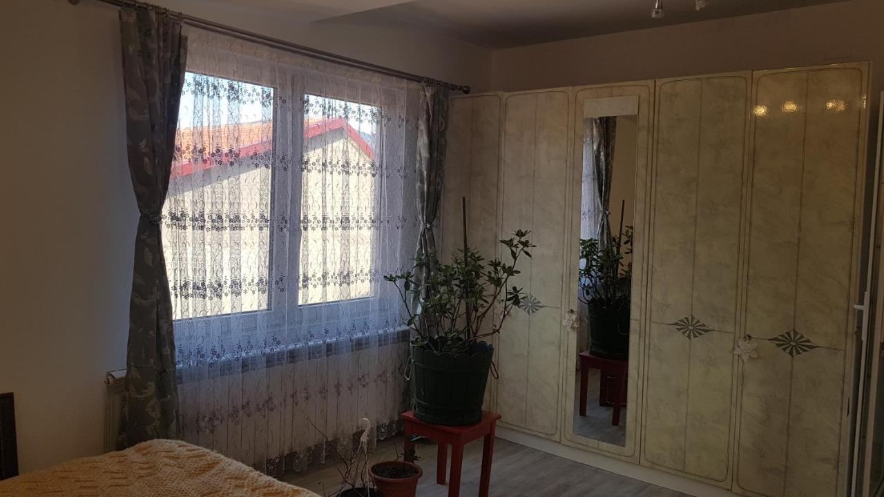 מלון Petroşani Casa Cojanu מראה חיצוני תמונה