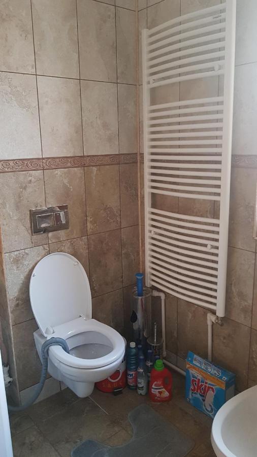 מלון Petroşani Casa Cojanu מראה חיצוני תמונה