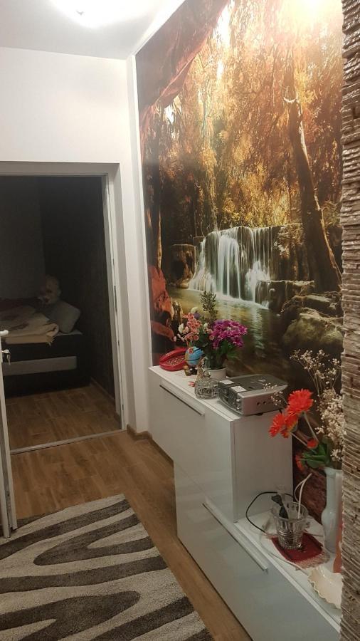 מלון Petroşani Casa Cojanu מראה חיצוני תמונה